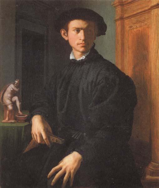 Agnolo Bronzino Portrait of a Young Man with a Lute oil painting picture